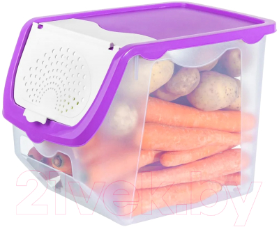 Емкость для хранения El Casa 640184 (прозрачный/фиолетовый)