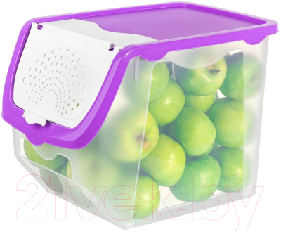 Емкость для хранения El Casa 640184 (прозрачный/фиолетовый)