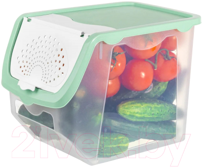 Емкость для хранения El Casa 640185 (прозрачный/фисташковый)