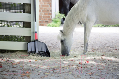 Лопата Prosperplast Loader / ILG2-S411