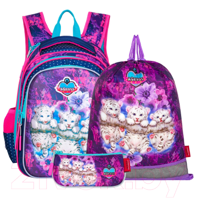 Школьный рюкзак Across ACR22-410-14 - фото