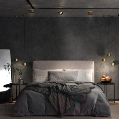 Потолочный светильник Novotech Giro 358969