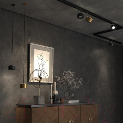 Точечный светильник Novotech Spot 358965