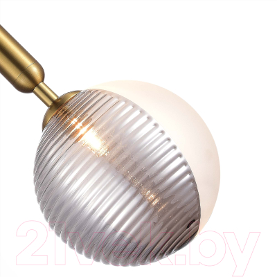 Потолочный светильник ST Luce SLE1096-203-01