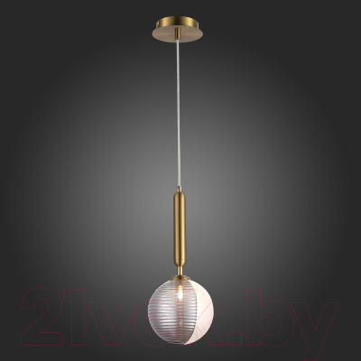 Потолочный светильник ST Luce SLE1096-203-01