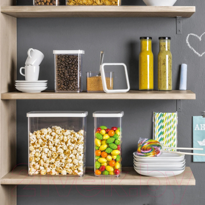 Емкость для хранения Rotho Loft Premium / 1160690000 (прозрачный/белый)