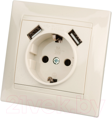 Розетка TDM Лама SQ1815-0142 - фото