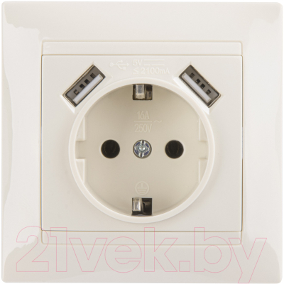 Розетка TDM Лама SQ1815-0142