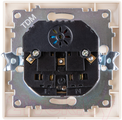 Розетка TDM Лама SQ1815-0142
