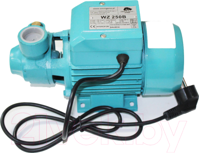 Поверхностный насос Omnigena Для водоснабжения и поливочных устройств WZ 250B - фото