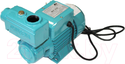 Поверхностный насос Omnigena Для водоснабжения и поливочных устройств WZ 250 - фото
