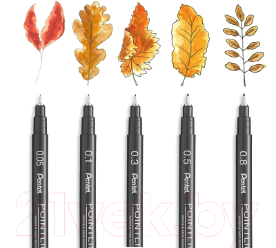 Ручка капиллярная Pentel Pointliner / S20P-05A