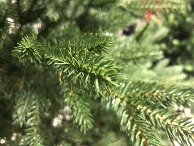 Ель искусственная GrandSiti Парма 270 / 101-096