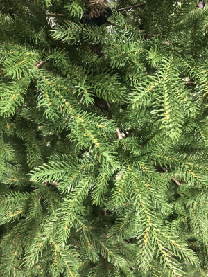 Ель искусственная GrandSiti Парма 300 / 101-097