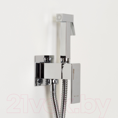 Гигиенический душ со смесителем Wasserkraft A71138