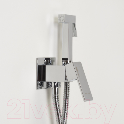 Гигиенический душ со смесителем Wasserkraft A71138