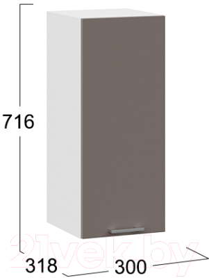 Шкаф навесной для кухни ТриЯ Габриэлла 1В3 (белый/муссон)