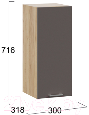 Шкаф навесной для кухни ТриЯ Габриэлла 1В3 (дуб крафт золотой/муссон)