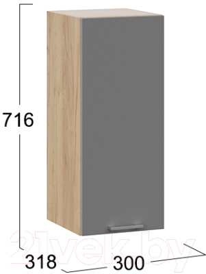 Шкаф навесной для кухни ТриЯ Габриэлла 1В3 (дуб крафт золотой/титан)