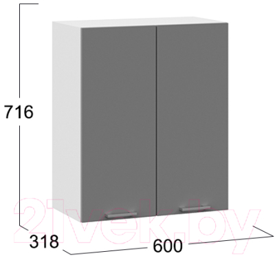 Шкаф навесной для кухни ТриЯ Габриэлла 1В6 (белый/титан)