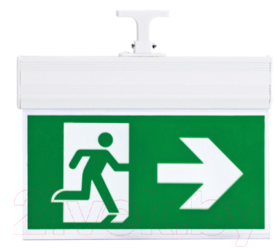 Светильник аварийный ЭРА DPA-103-1-20 / Б0044392 - фото