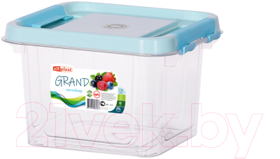 Контейнер Эльфпласт Grand EP545