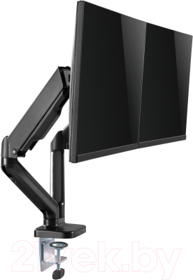 Кронштейн для монитора Ergosmart Power Black DBL