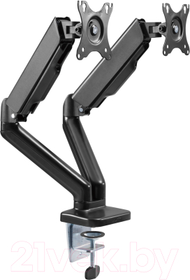 Кронштейн для монитора Ergosmart Power Black DBL