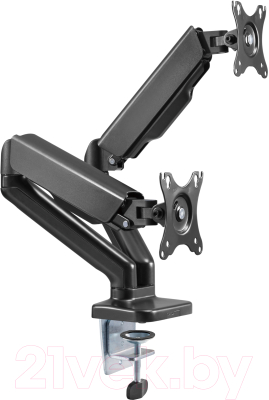 Кронштейн для монитора Ergosmart Power Black DBL