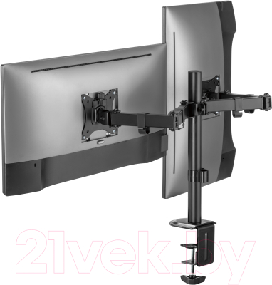 Кронштейн для монитора Ergosmart Twin II