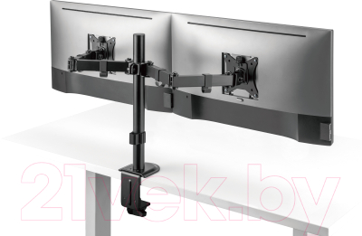 Кронштейн для монитора Ergosmart Twin II