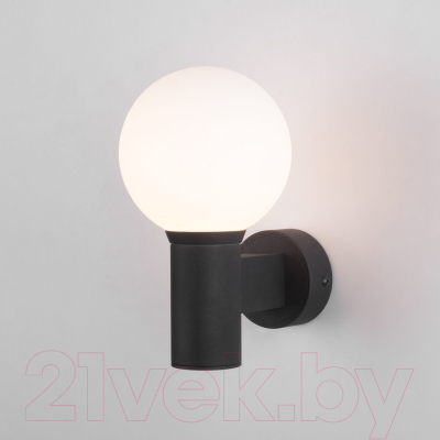 Бра уличное Elektrostandard Sfera 35126/D