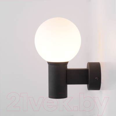 Бра уличное Elektrostandard Sfera 35126/D