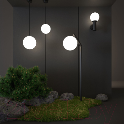 Бра уличное Elektrostandard Sfera 35126/D