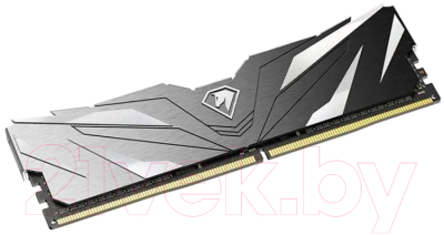 Оперативная память DDR4 Netac NTSWD4P32SP-08K