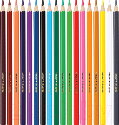 Набор цветных карандашей Мульти-пульти Енот в Индии / CP_10748