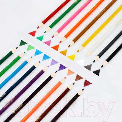 Набор цветных карандашей Мульти-пульти Енот в Индии / CP_10748