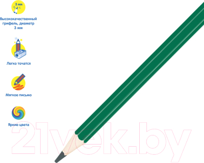 Набор цветных карандашей Мульти-пульти Енот в Индии / CP_10748