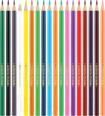 Набор цветных карандашей Мульти-пульти Енот в Испании / CP_10756