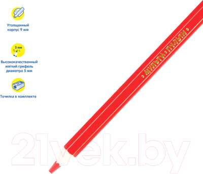 Набор цветных карандашей Мульти-пульти Енот в саванне / CP_11500