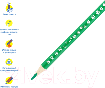 Набор цветных карандашей Мульти-пульти Енот-следопыт / CP_20537