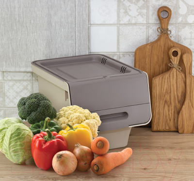 Контейнер Idea Смарт / М2396