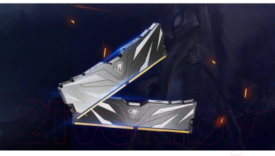 Оперативная память DDR4 Netac NTSWD4P32SP-16K