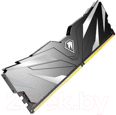 Оперативная память DDR4 Netac NTSWD4P32DP-32K