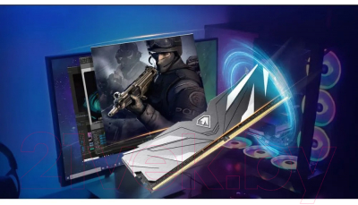 Оперативная память DDR4 Netac NTSWD4P32DP-32K