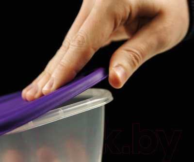 Контейнер Альт-Пласт Прованс №2 / 103725