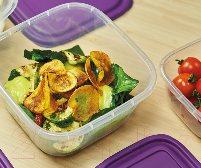 Контейнер Альт-Пласт Прованс №2 / 103725