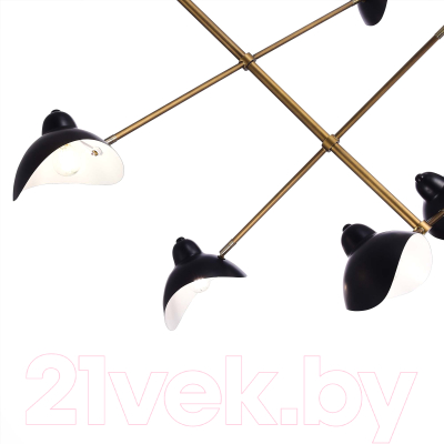 Люстра ST Luce SL1801.303.06