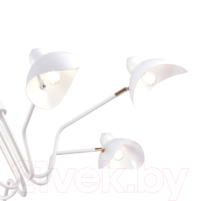 Люстра ST Luce SL1801.513.06