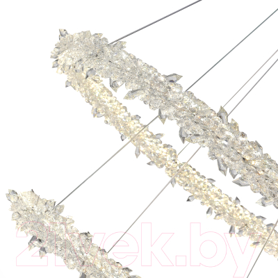 Потолочный светильник ST Luce SL6105.203.02